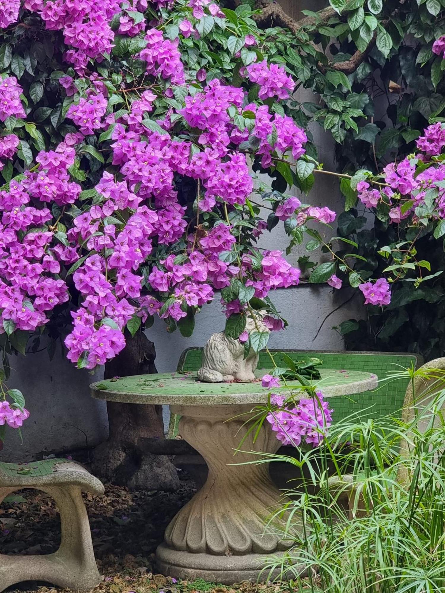 Vatican Fairytale Garden Guest house *