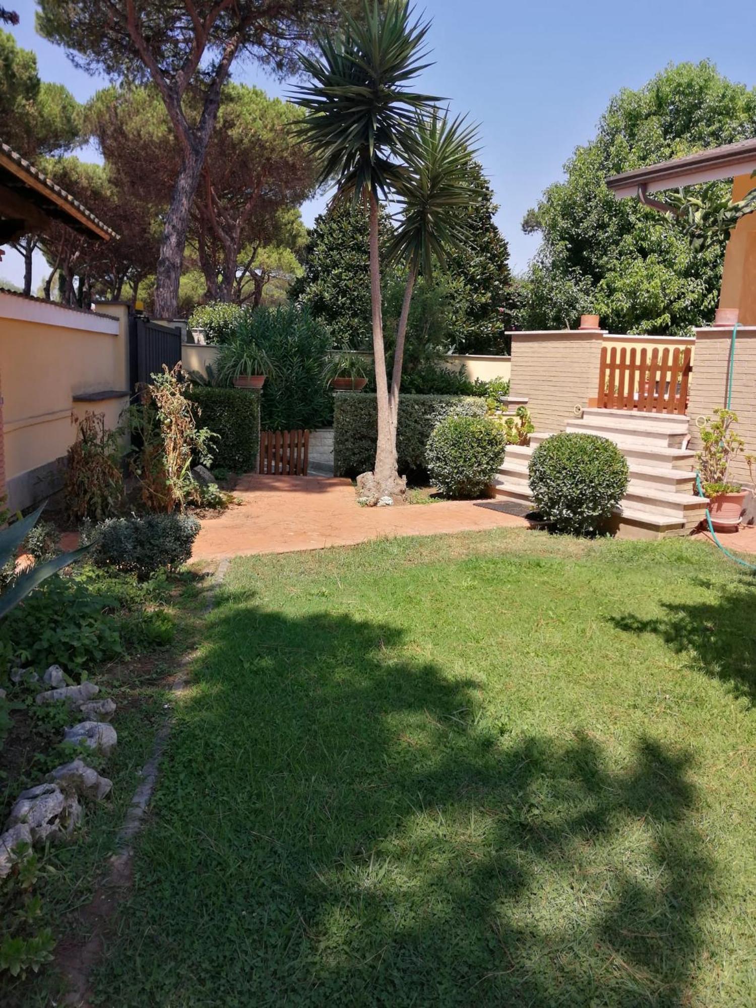 Apartment Indipendente In Grande *