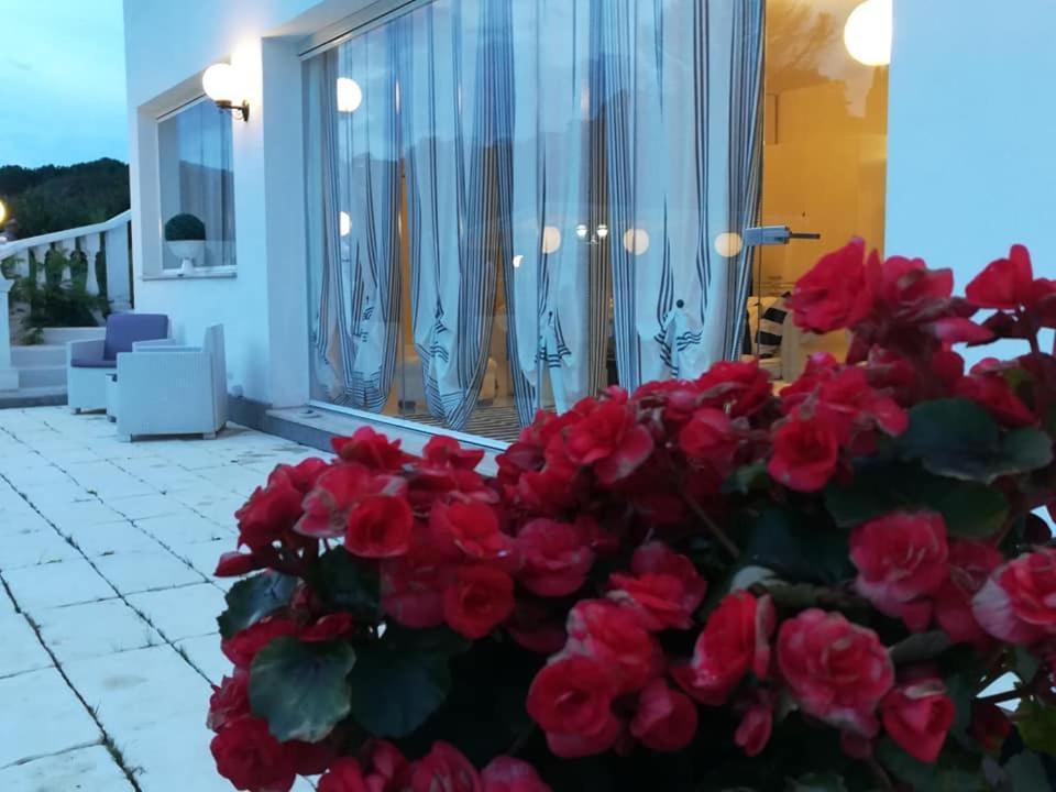 Homart Optical Swite Holiday home