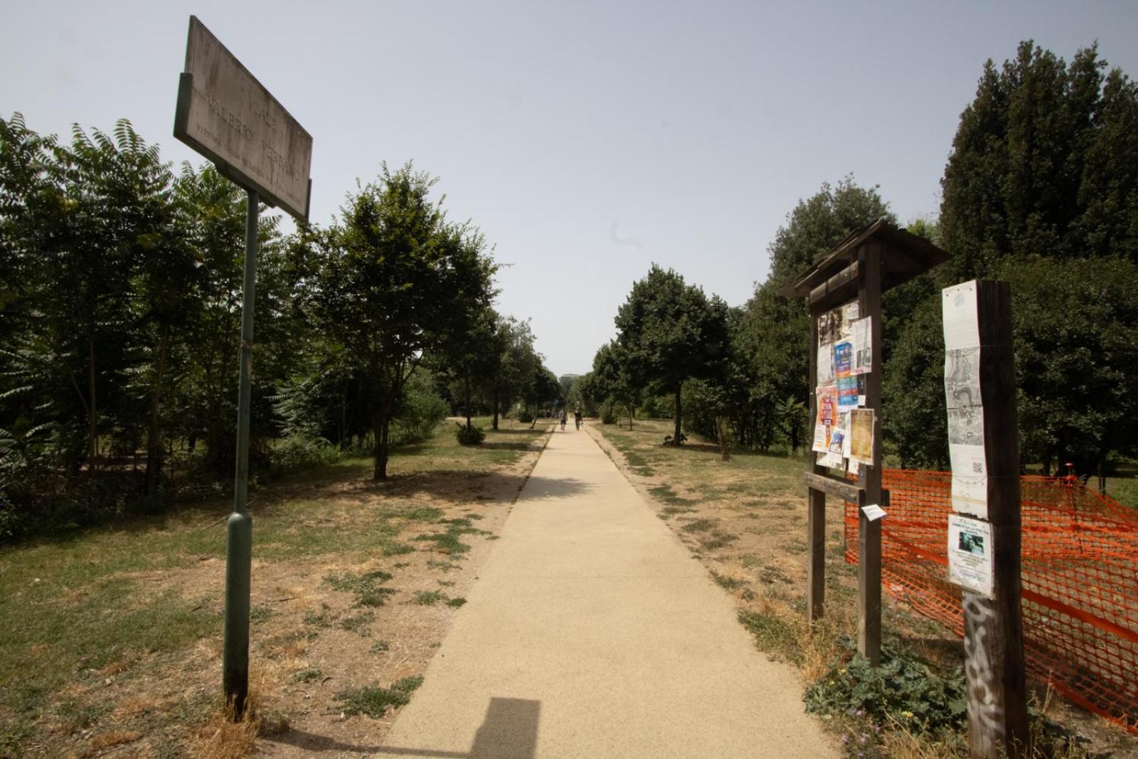 Via Conca D'oro Adiacente Fermata Della Metro B Apartamento *