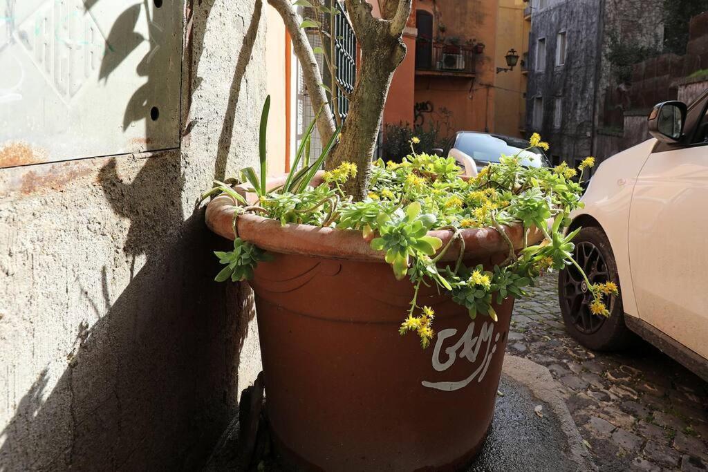Navona Wooow 5 Minutes Walk Apartment Rome