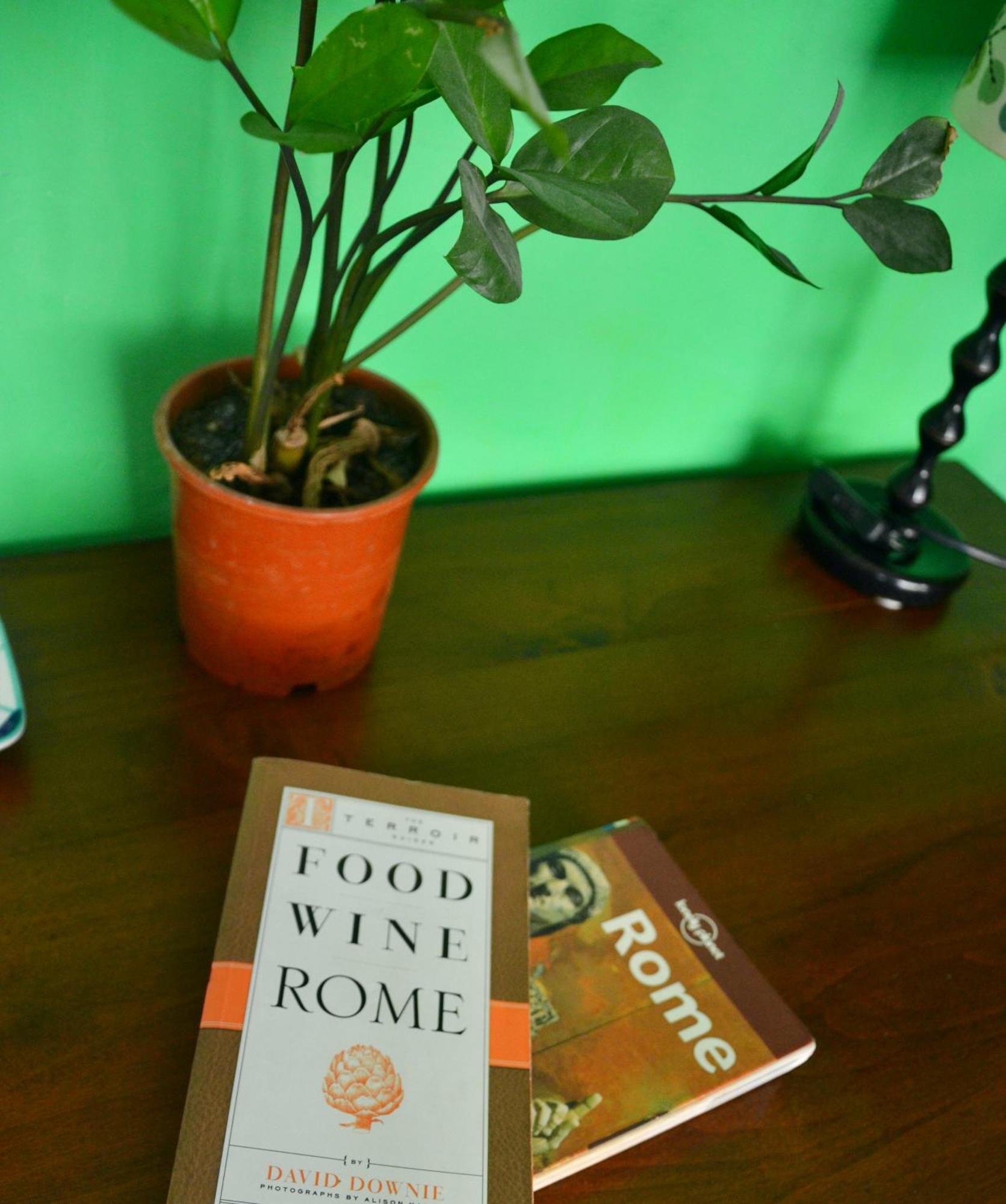 4321 Stazione Trastevere Appartement Rome