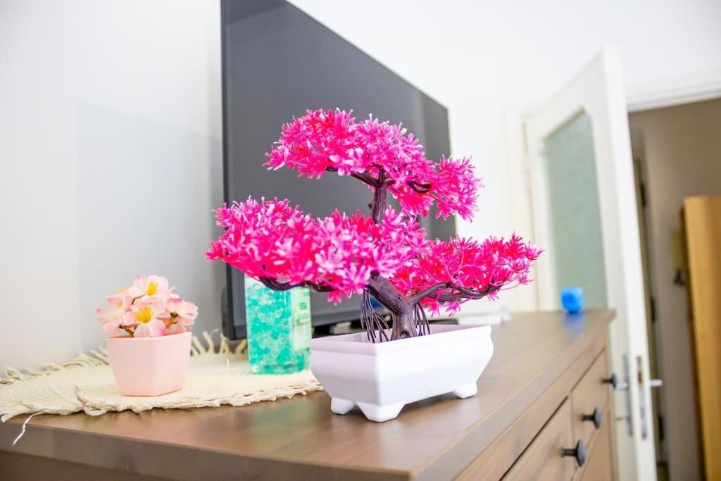 Appartement Cleverflat, Center And Fiumicino Link
