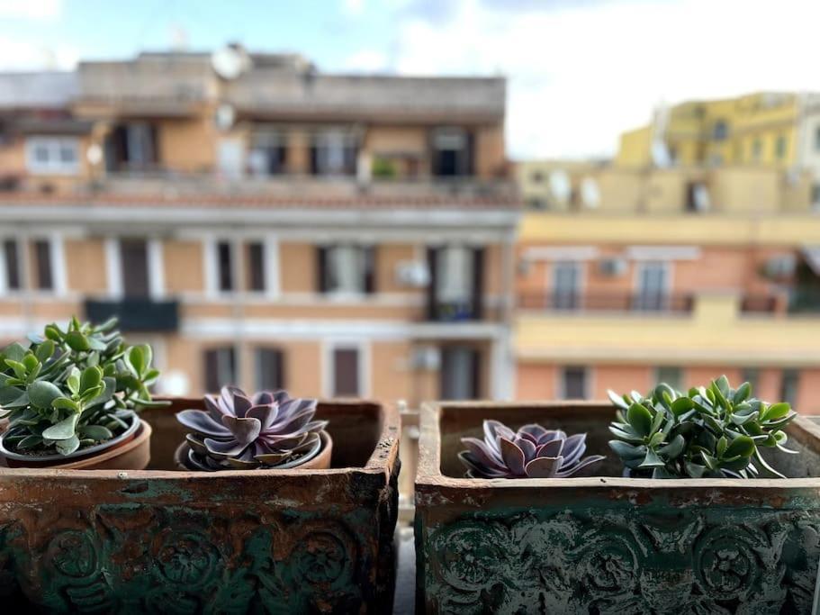 Casa Vivi Apartment Rome