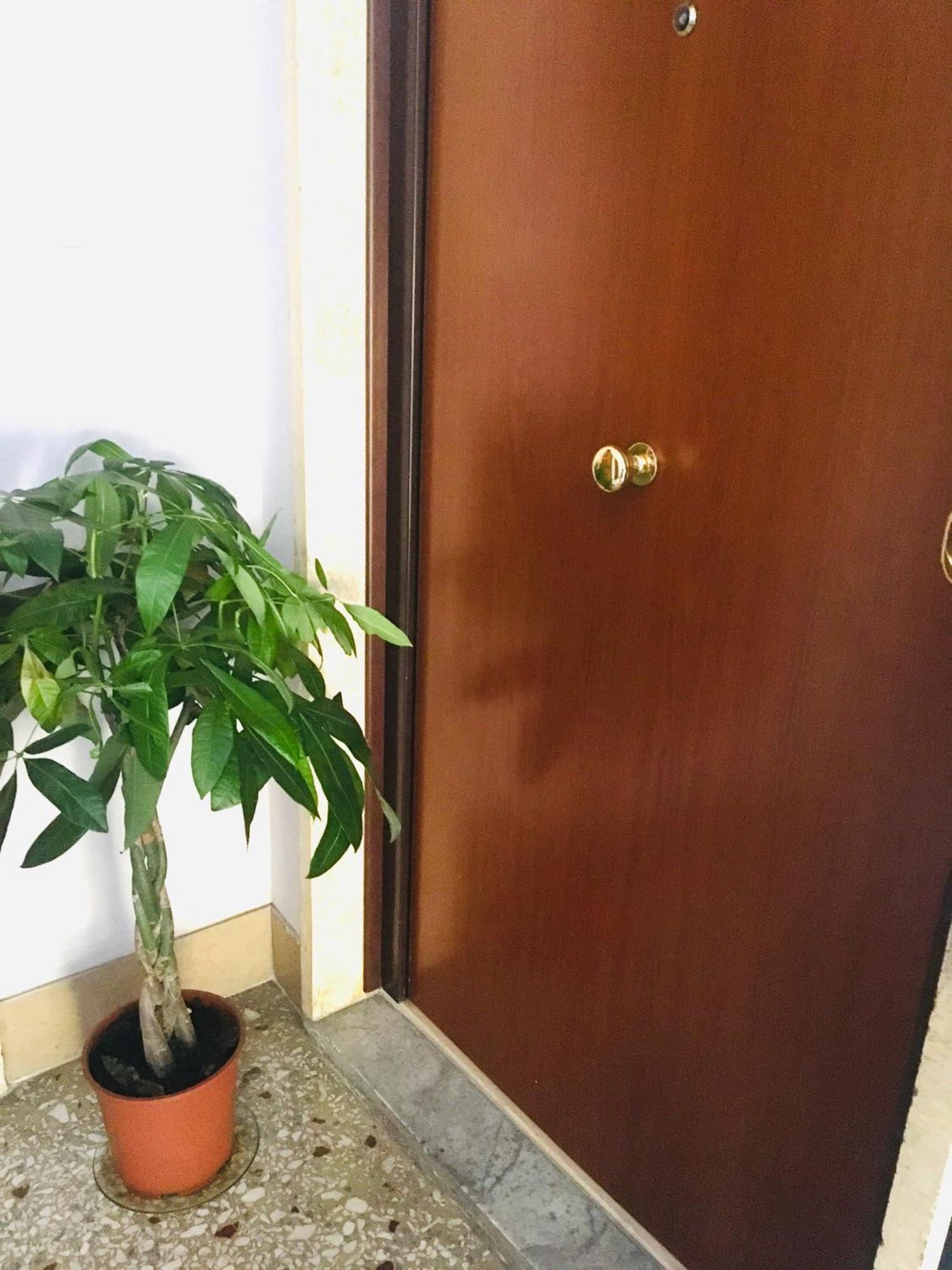 House Alessandrino Apartment