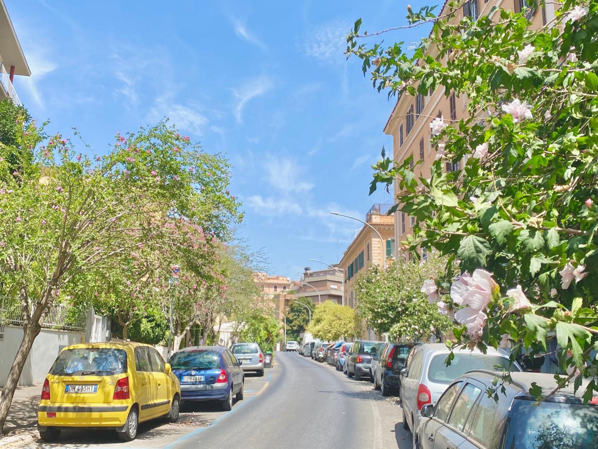 Of Superior Affittacamere Roma