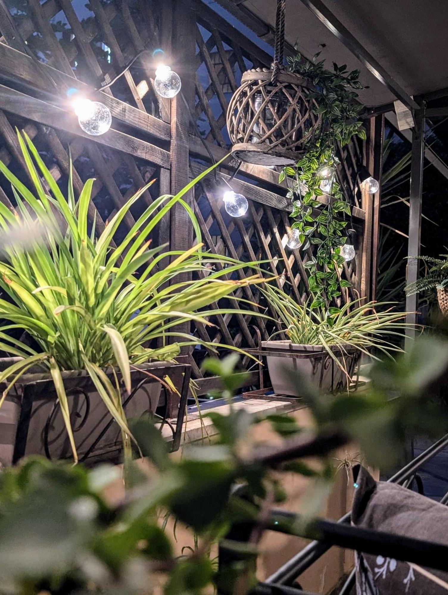 Apartment Bohouse *