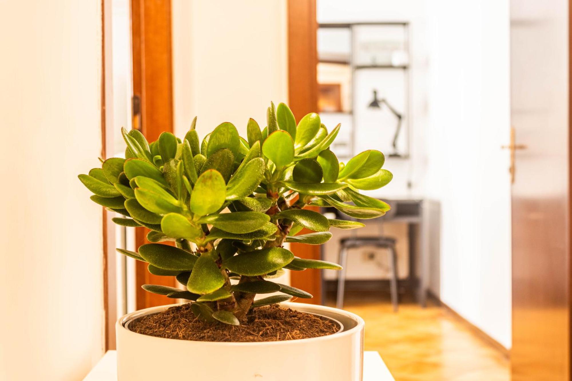 Apartamento Porta Pia Hannes Roma