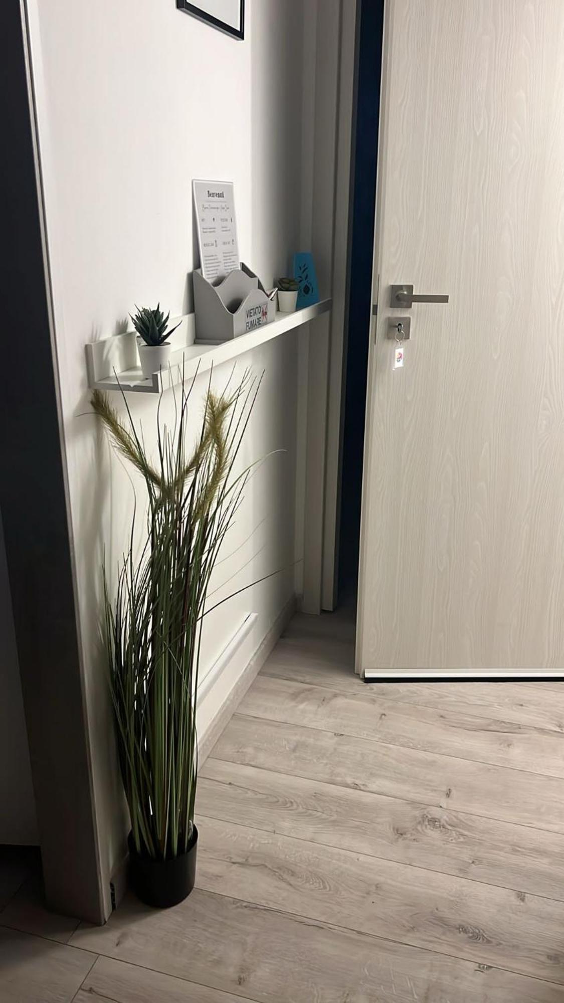 Carpe Diem Adult Only Apartment Rome