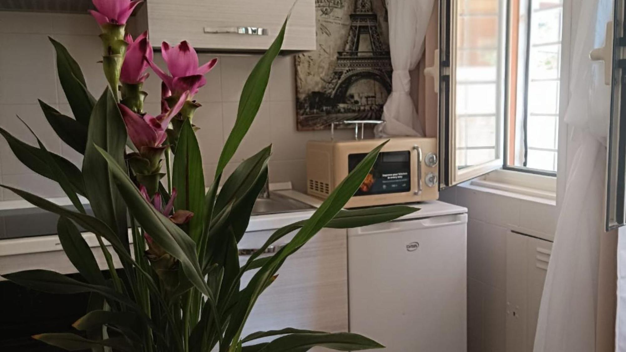 Castle&dome Apartment Rome