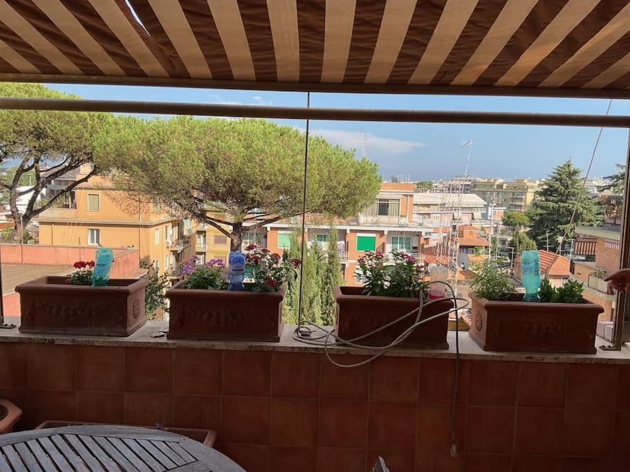 Attico Urban Chic Casa vacanze *