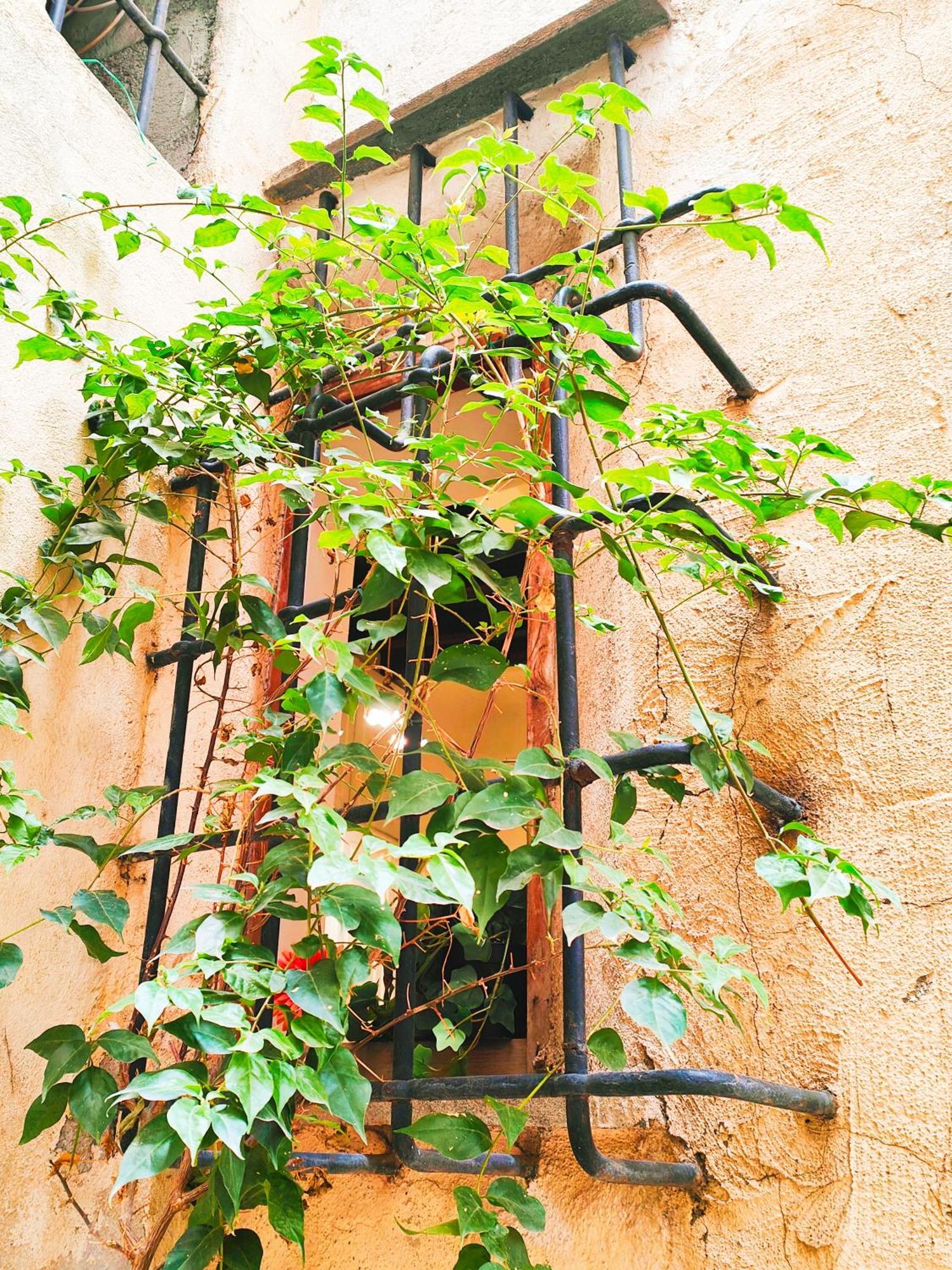 Diva Dependance Navona Rome