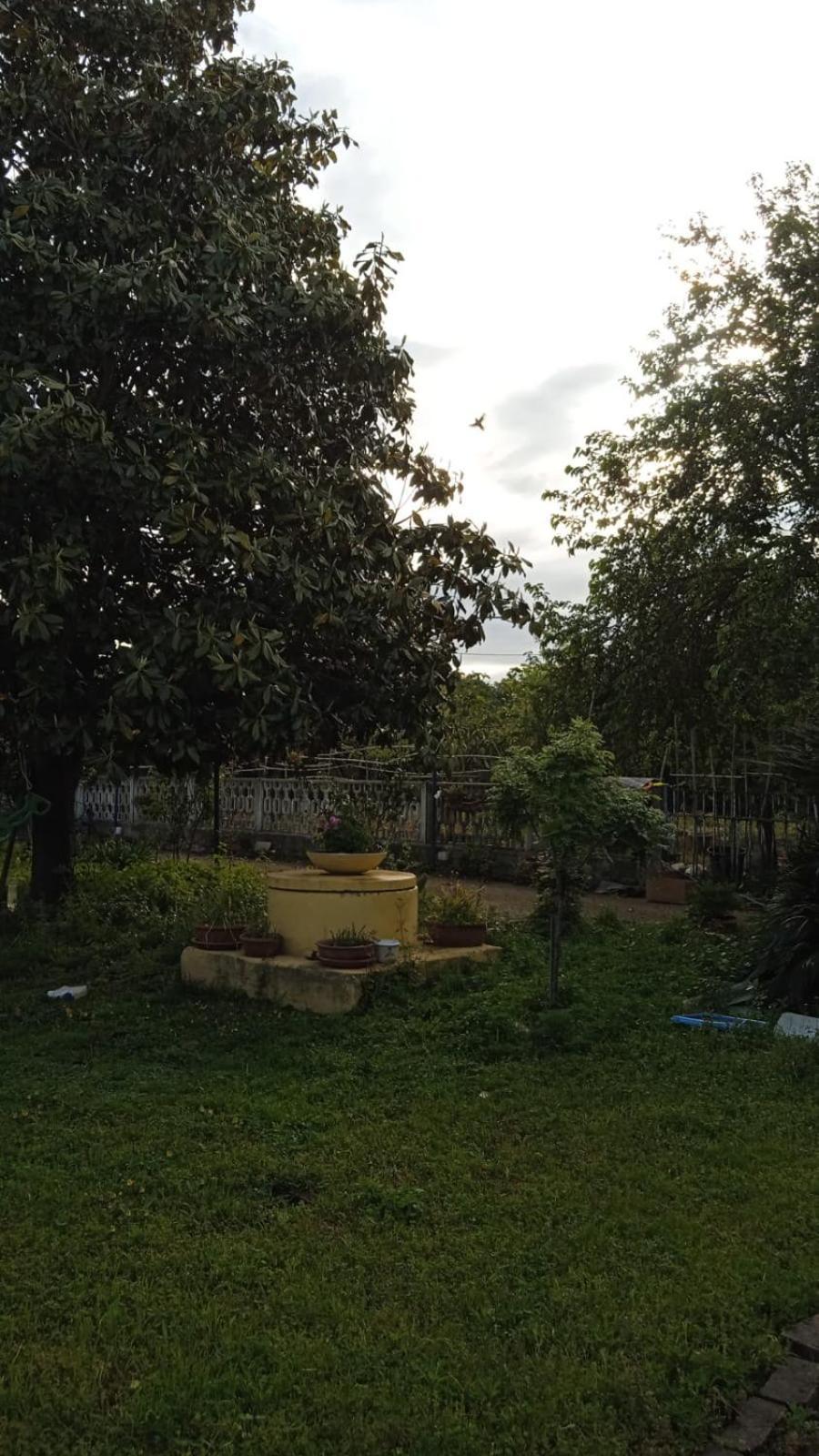 Casina Maria Appartement Rome