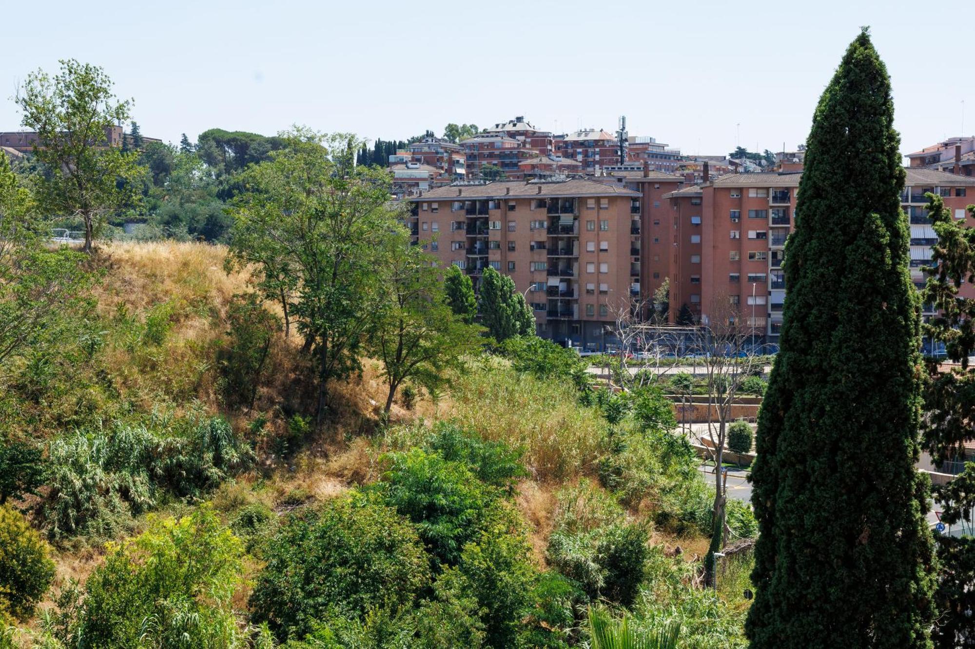 Aurelia Luxury Apartment Rome