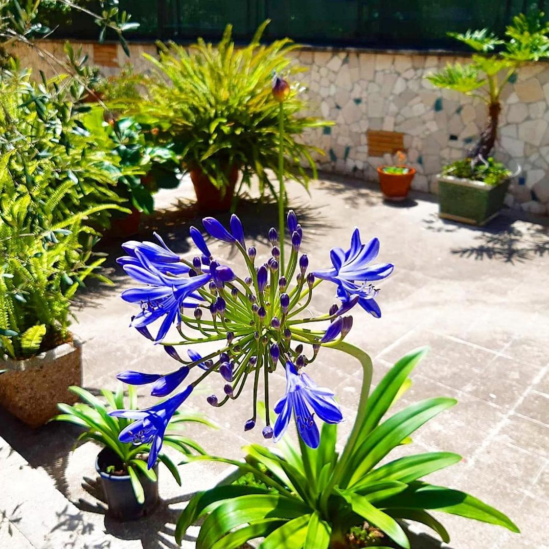 Le Tare Bed & Breakfast