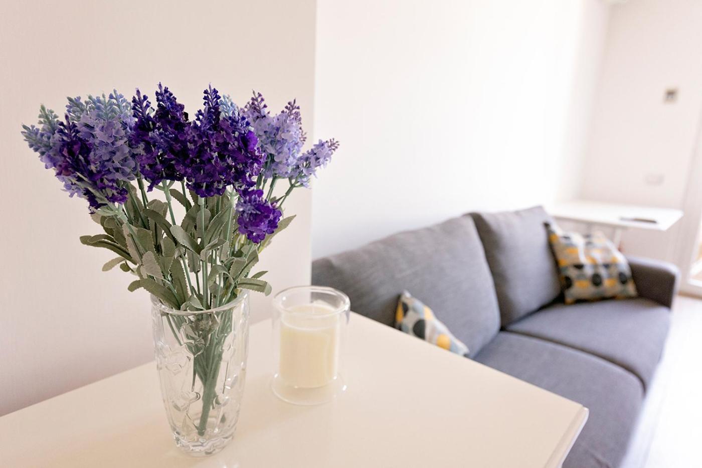 Ion Apartment *