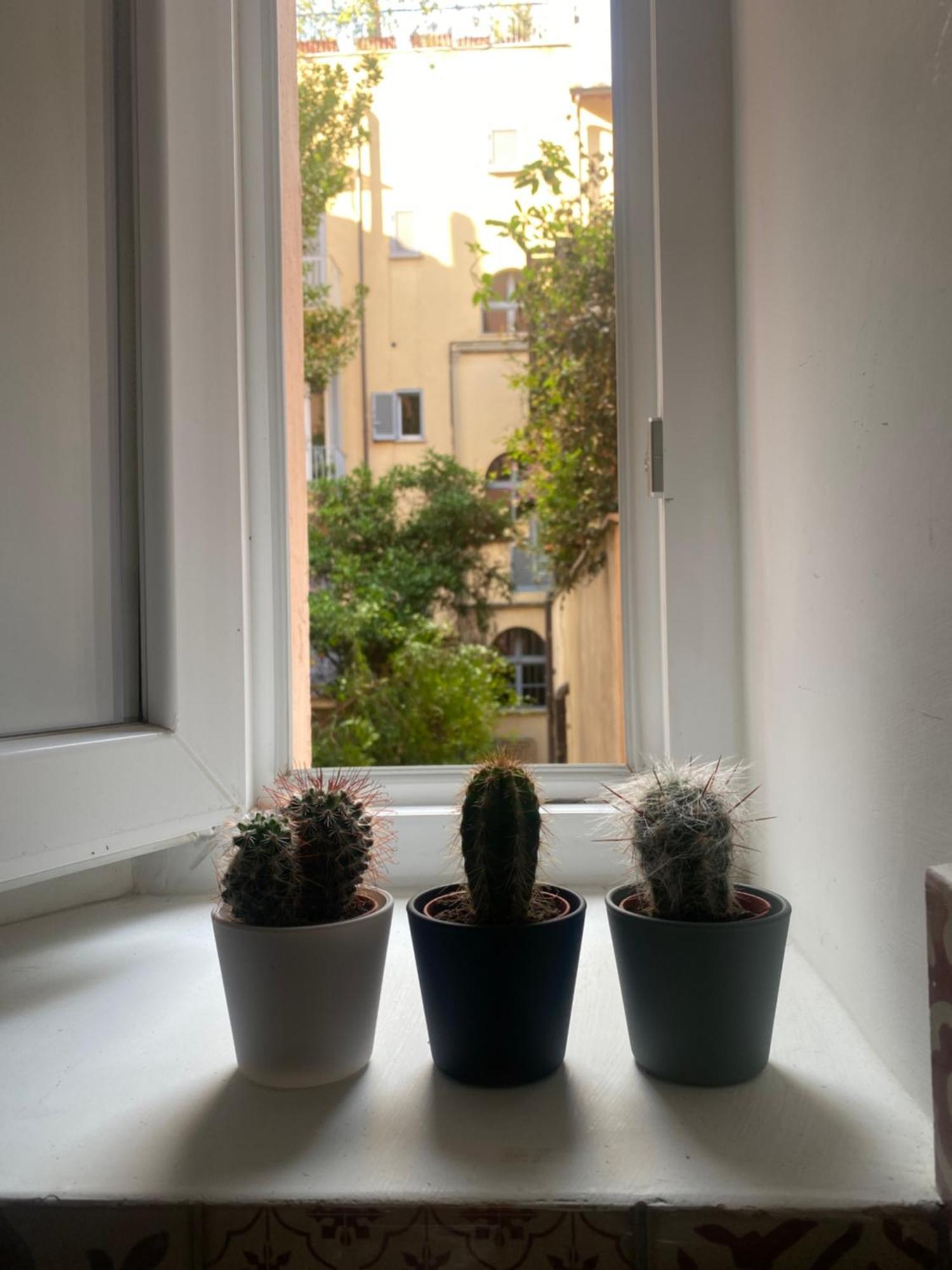 Colosseo Mon Apartment *