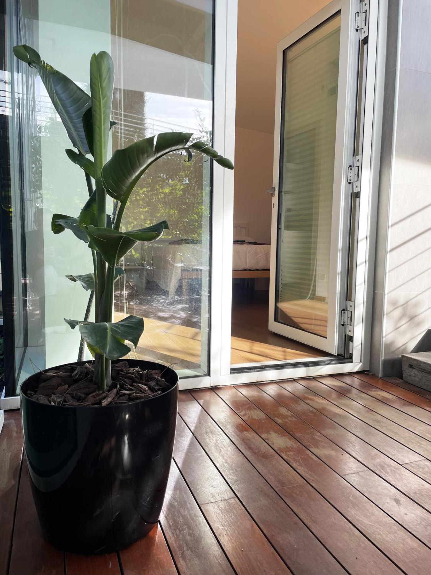 Belvedere House Apartment Rome