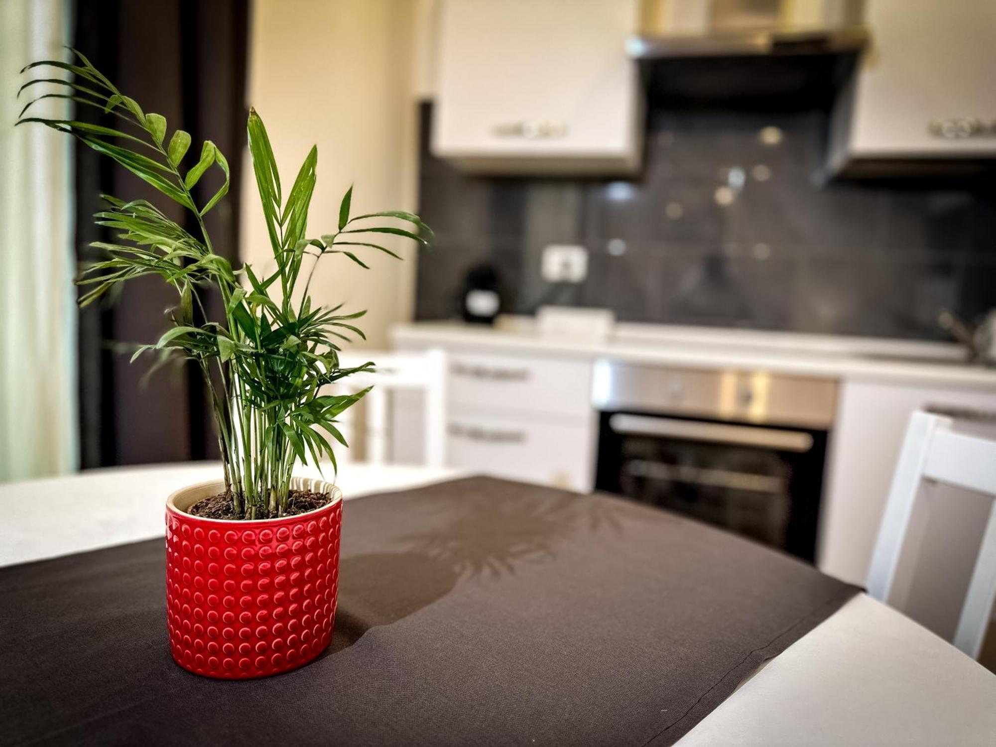 Da Rossella Appartement