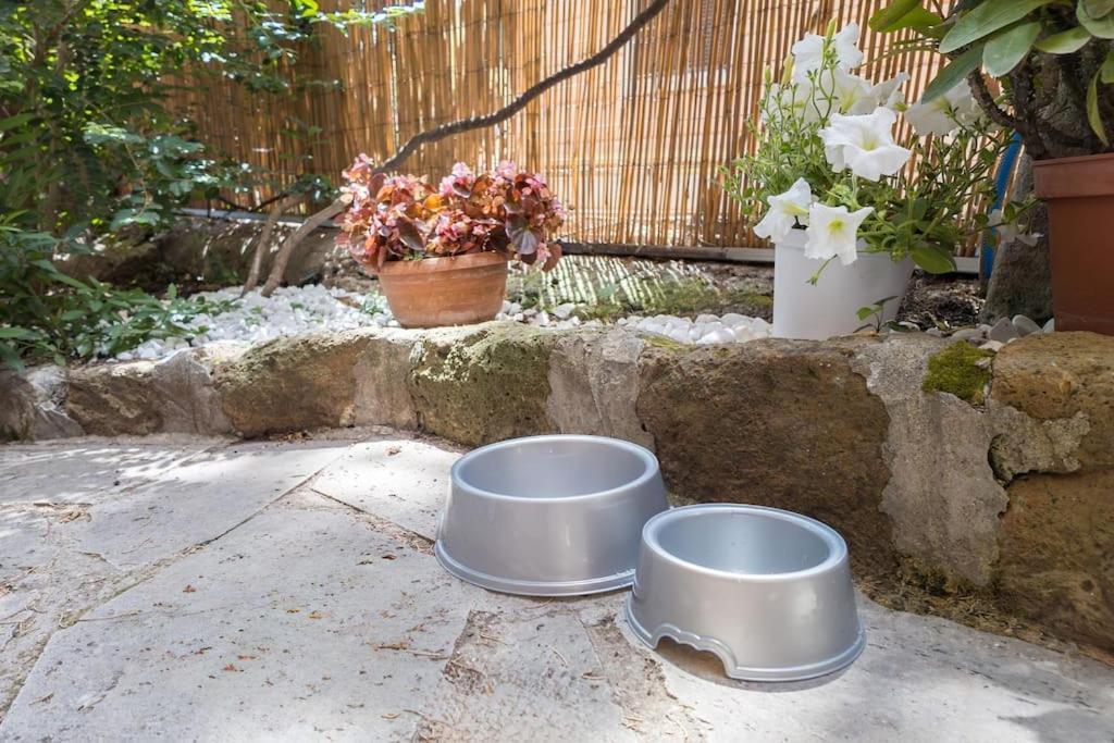 Appartamento Poerio Home&garden Near The Centre Of *