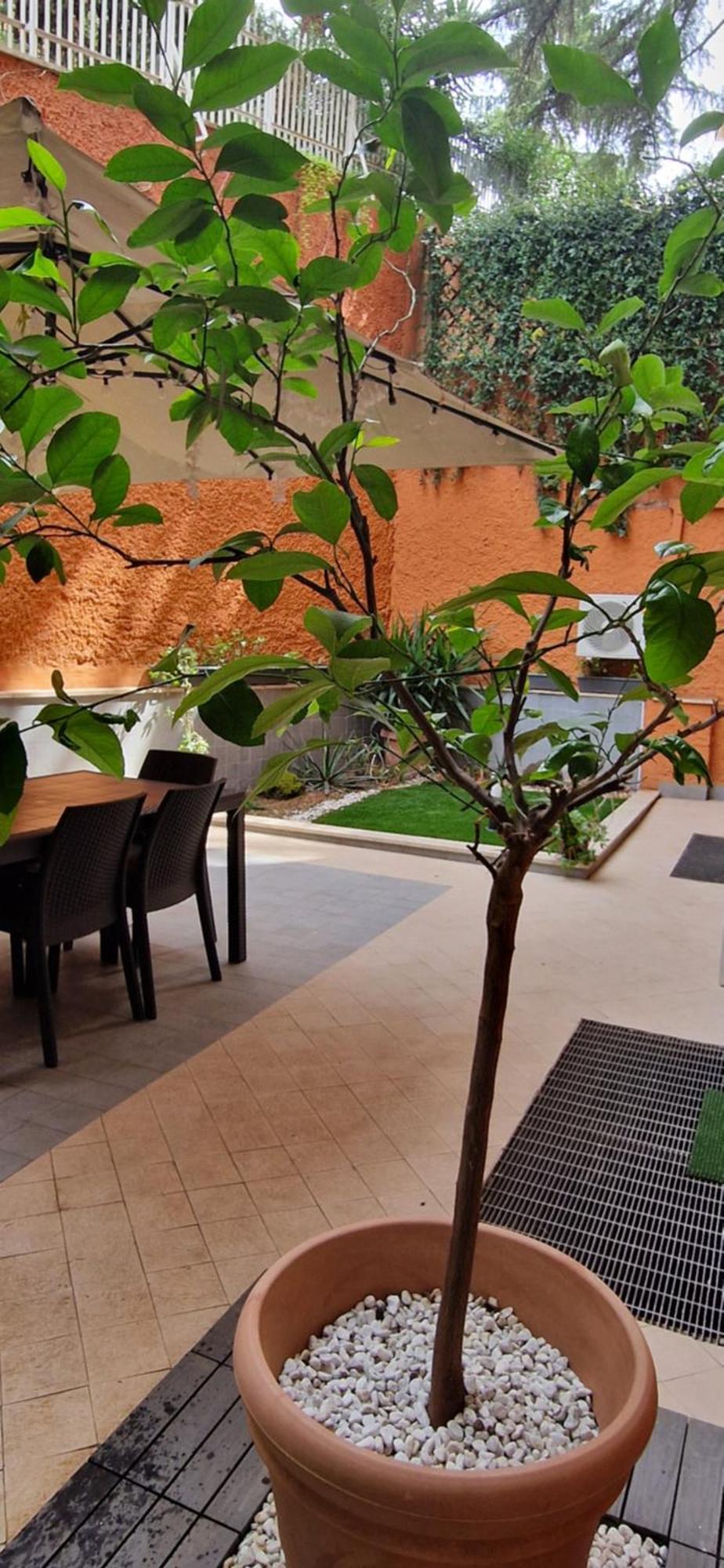 Oasi Del Vaticano Apartment Rome