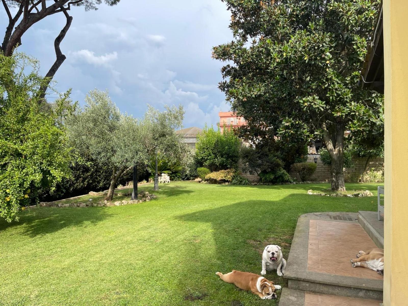 Paradise * Roma