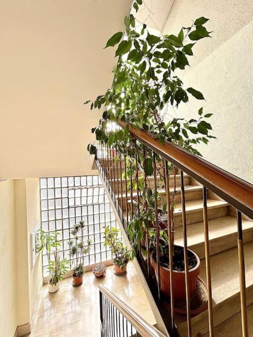 Hospedagem domiciliar Ostiense