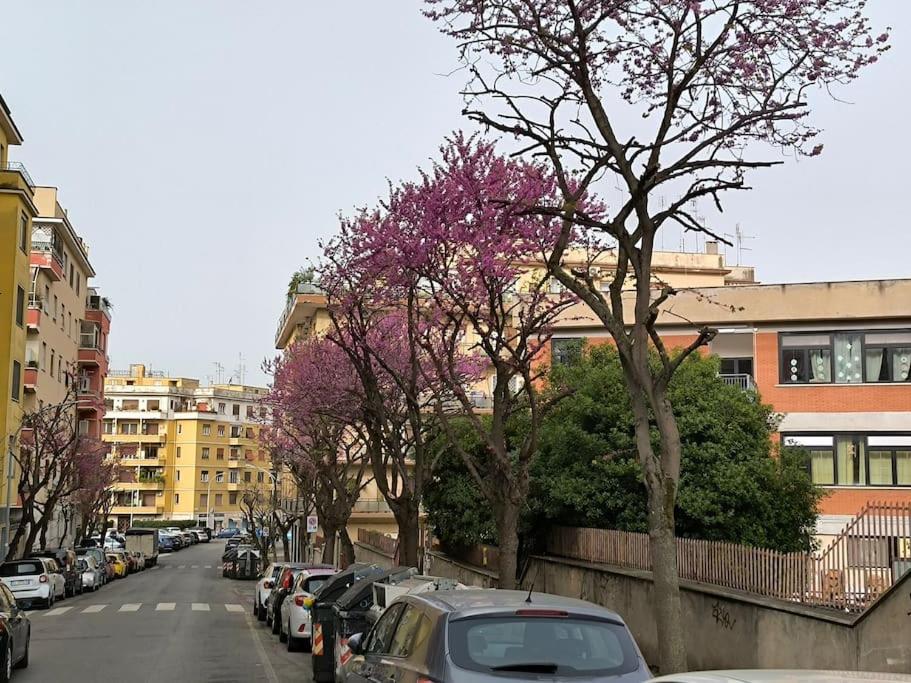 New And Beautiful House In The Heart Of Apartamento Roma