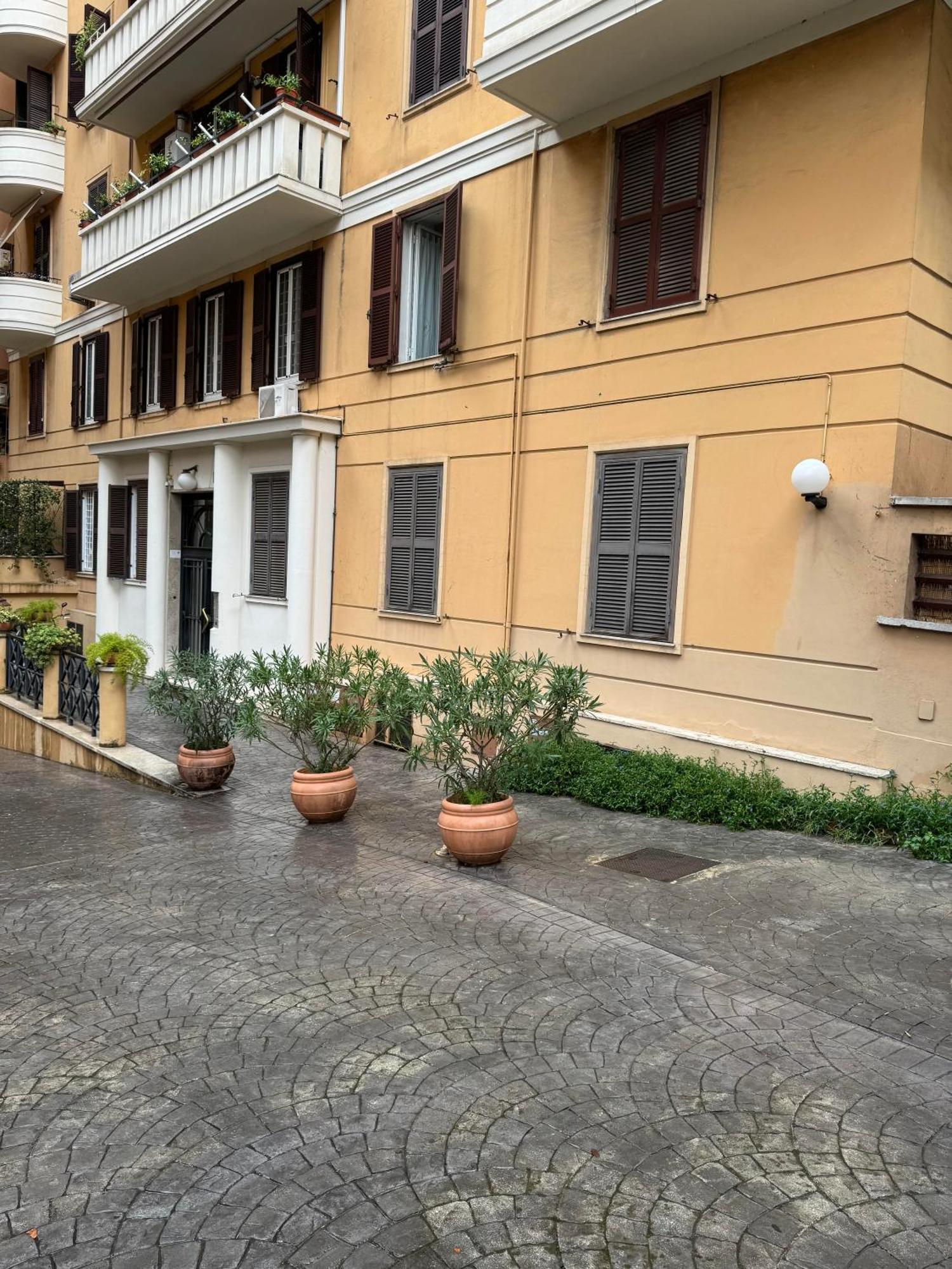 Zama Living Rome