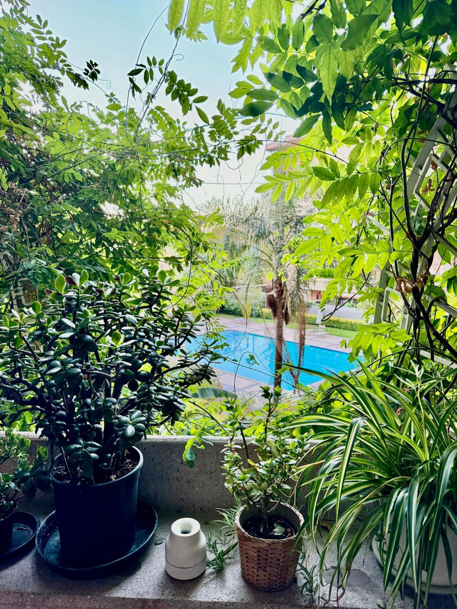Apartamento Flaminia *