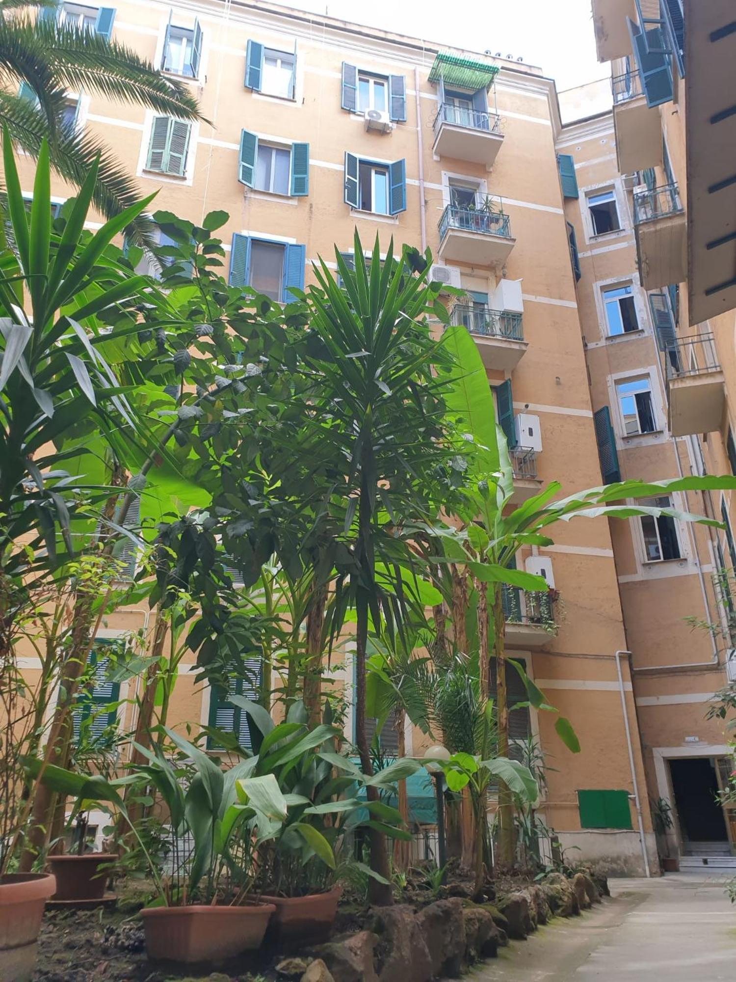 Near To Colosseum Re-house Rome
