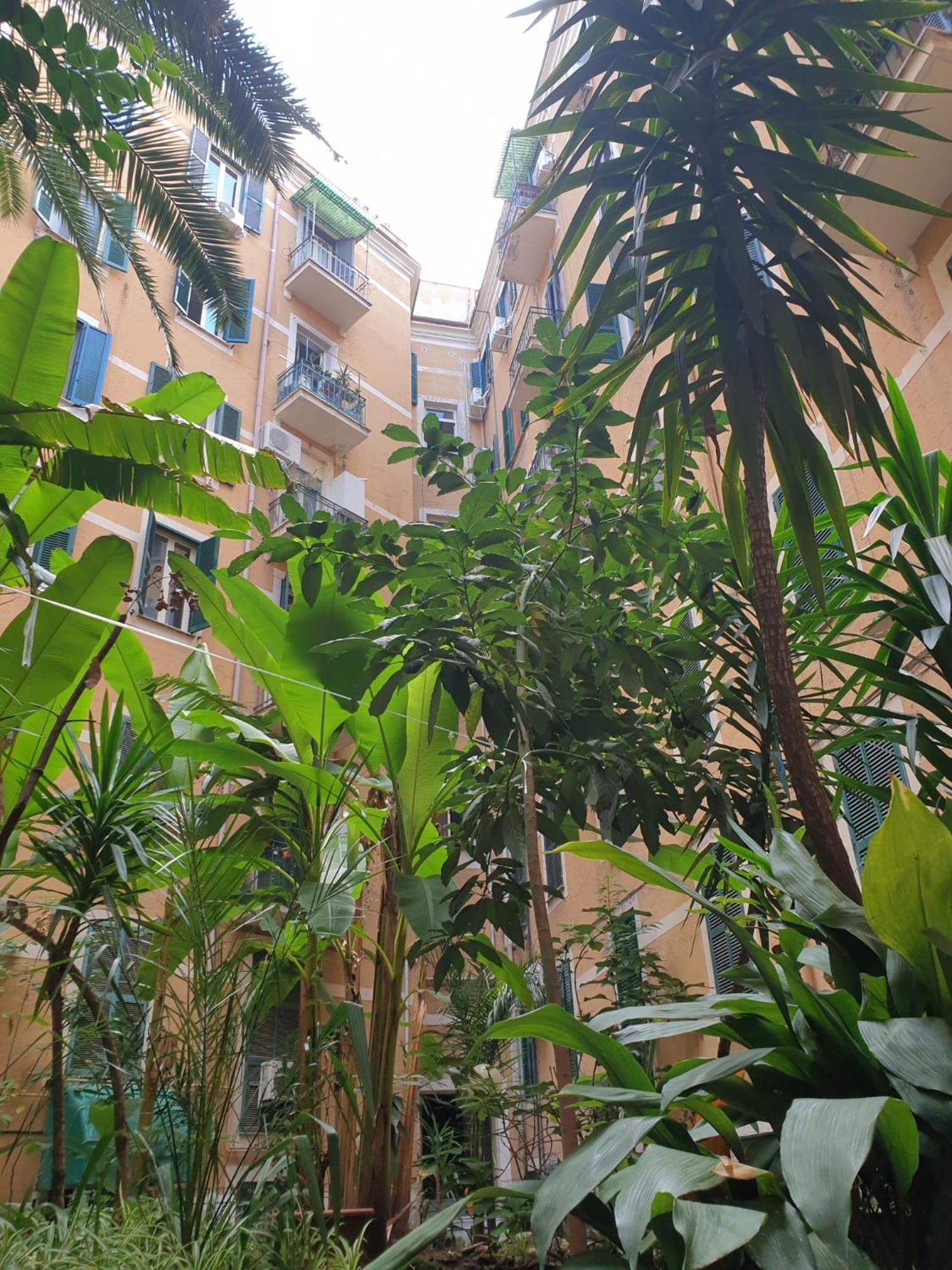 Near To Colosseum Re-house Appartement Rome