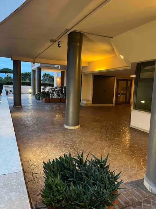Apartment Residenza Dell Agrifoglio Rome
