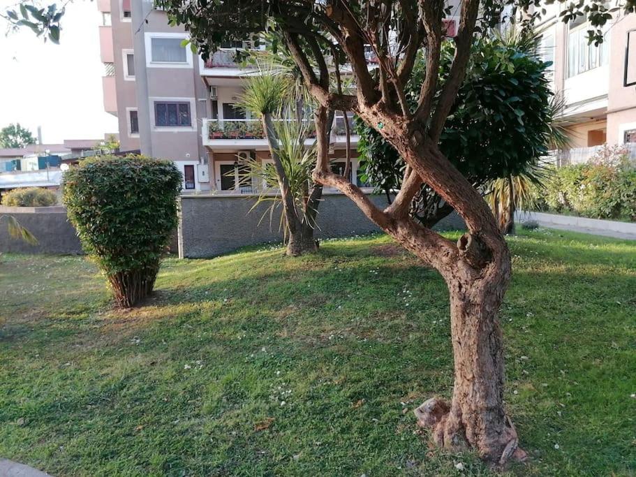 Apartment Grazioso Posizione Ideale Metro C