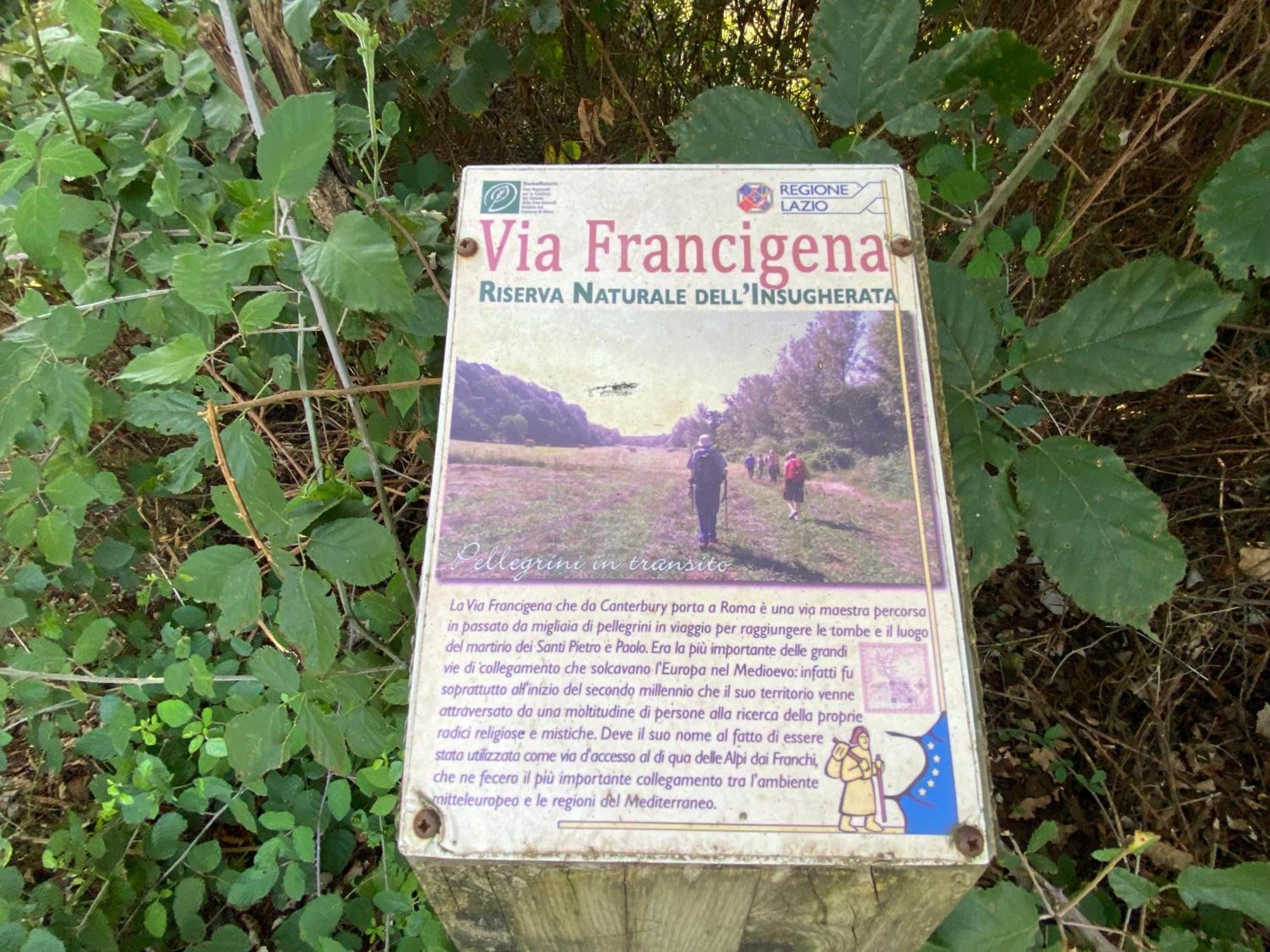 Apartamento Francigena House