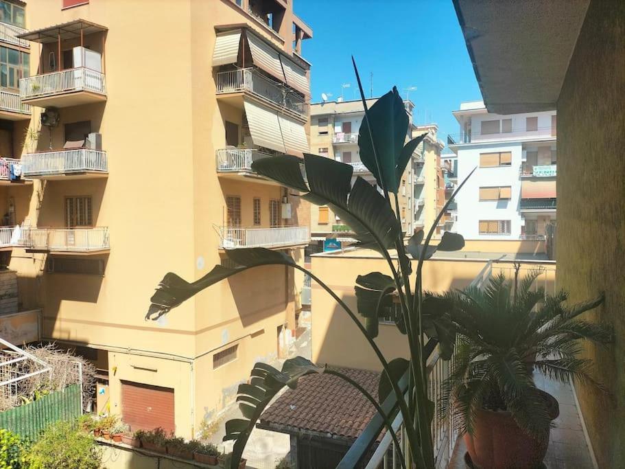 Cento House Rome