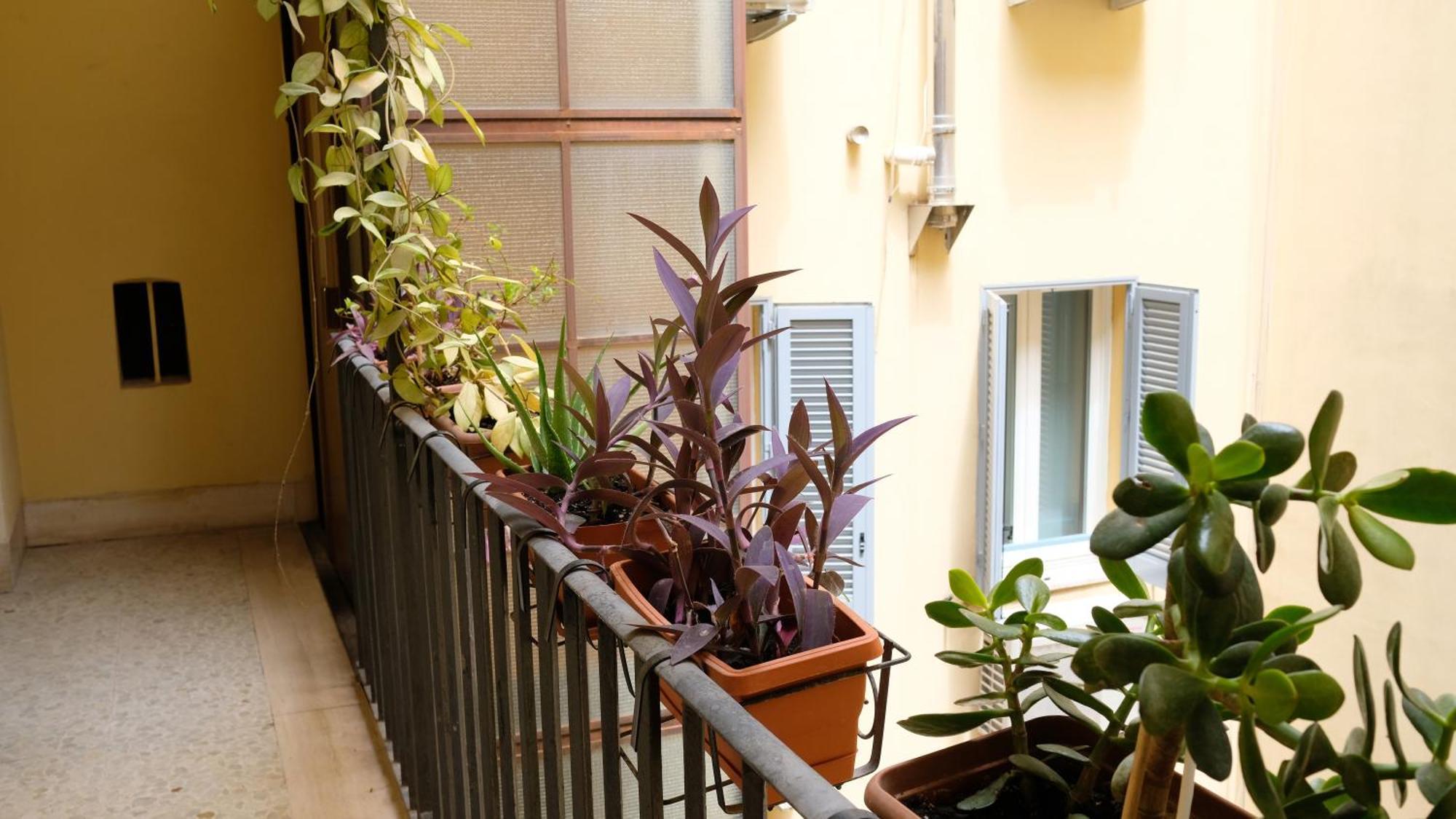 New! True-stevere Amazing Double Bed For 5 Pax Appartement *