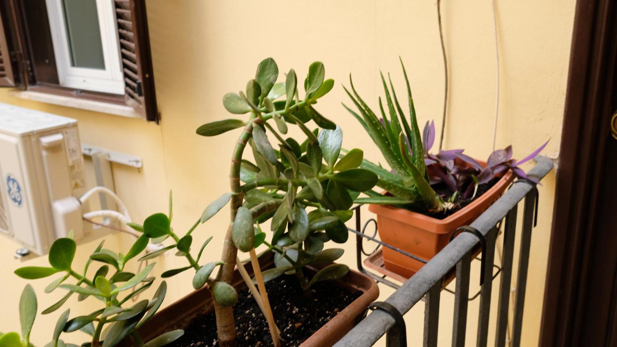 New! True-stevere Amazing Double Bed For 5 Pax * Rome