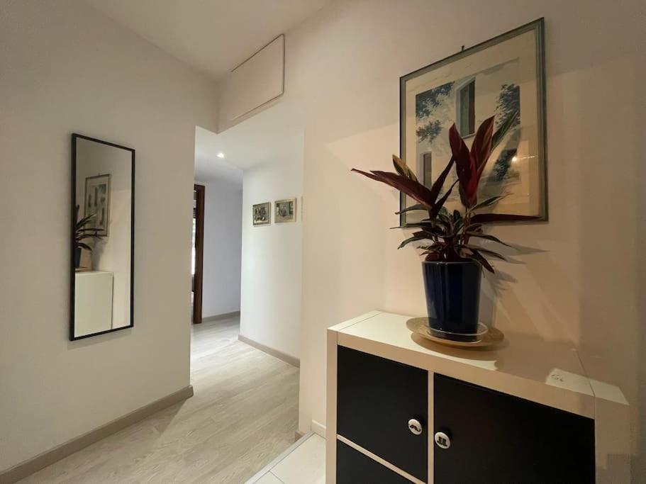 Apartment Spacious And Bright