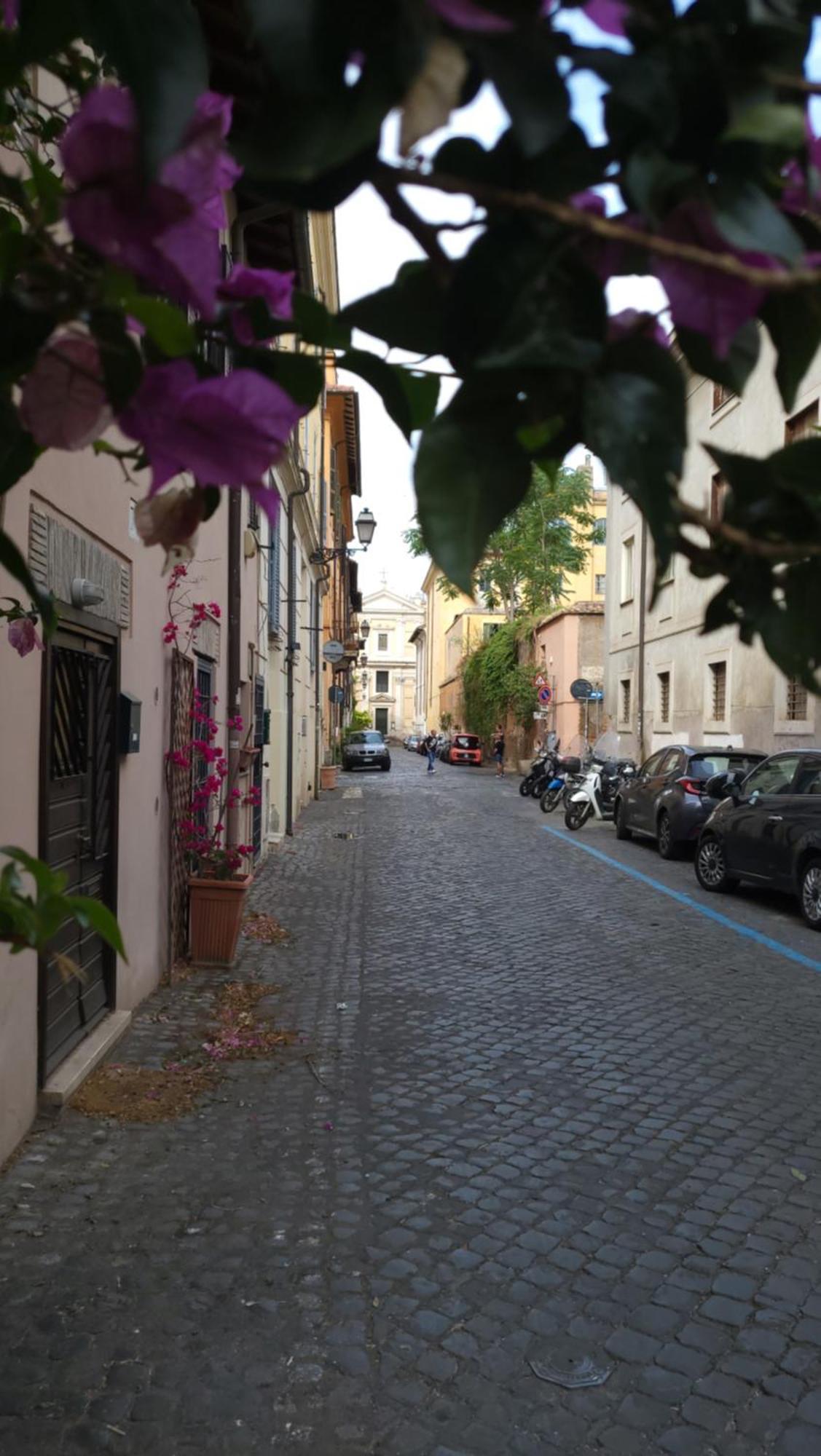 Appartamento Antica Trasteverina Roma