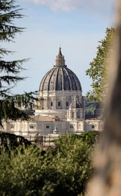 Vatican Vista