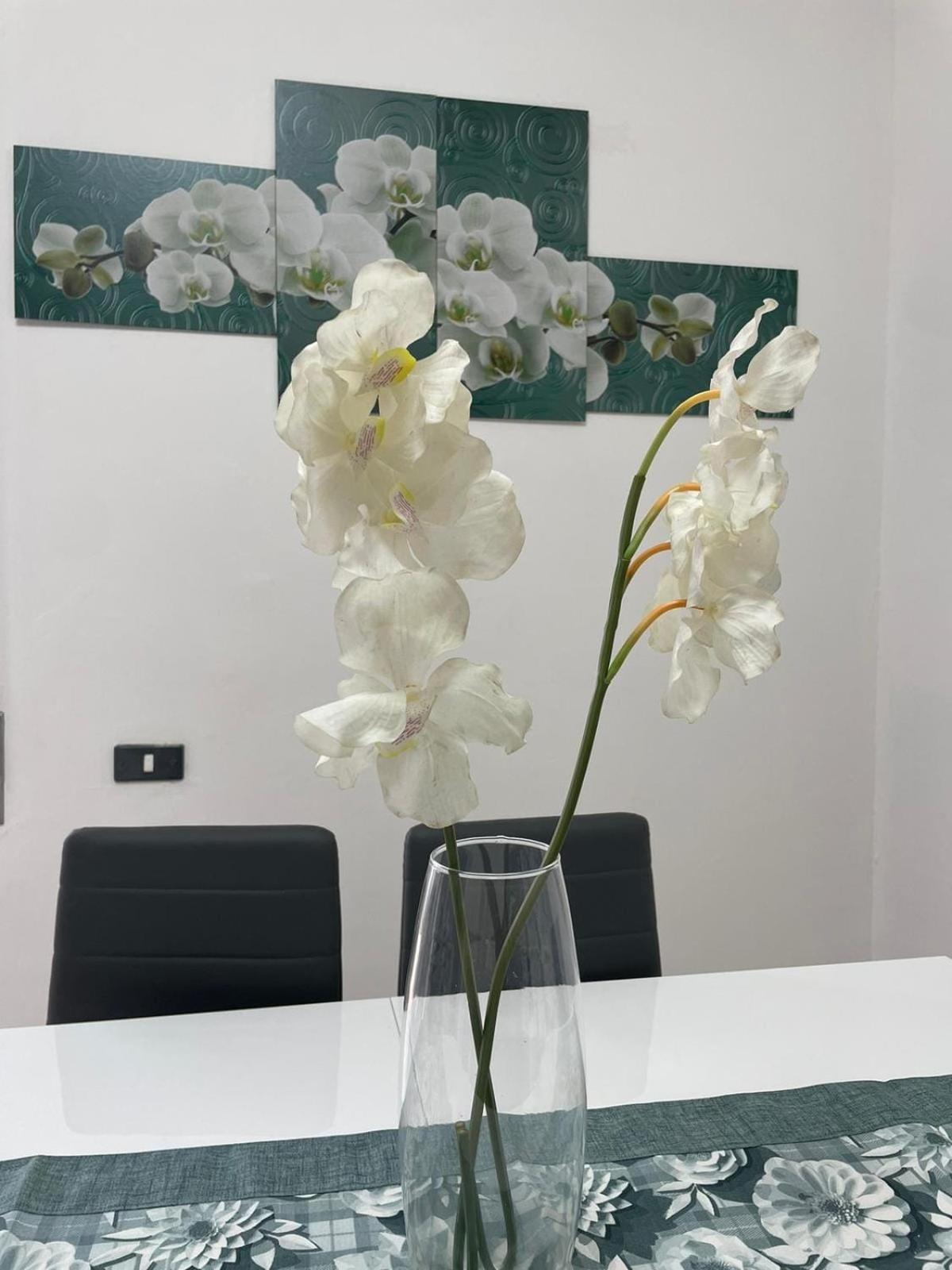 Apartment Claudiae Domus Rome