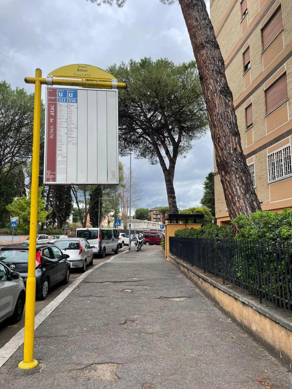 Claudiae Domus * Rome