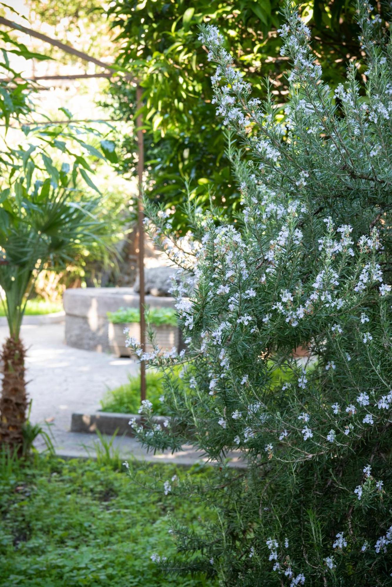 Hotel Residenza Leone Xiii *
