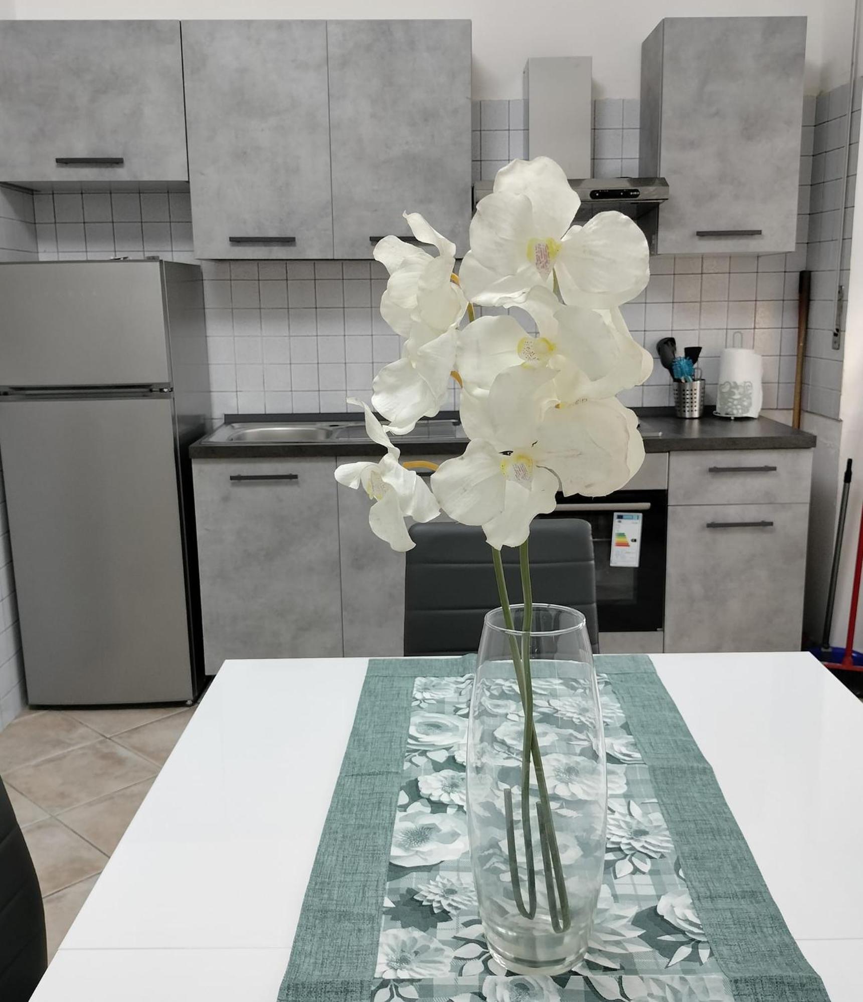 Claudiae Domus Apartment Rome