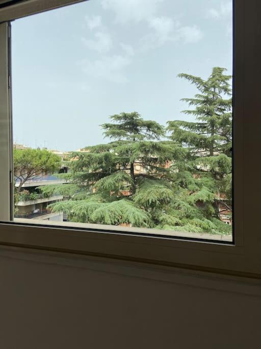 Apartment Vatican Penthouse
