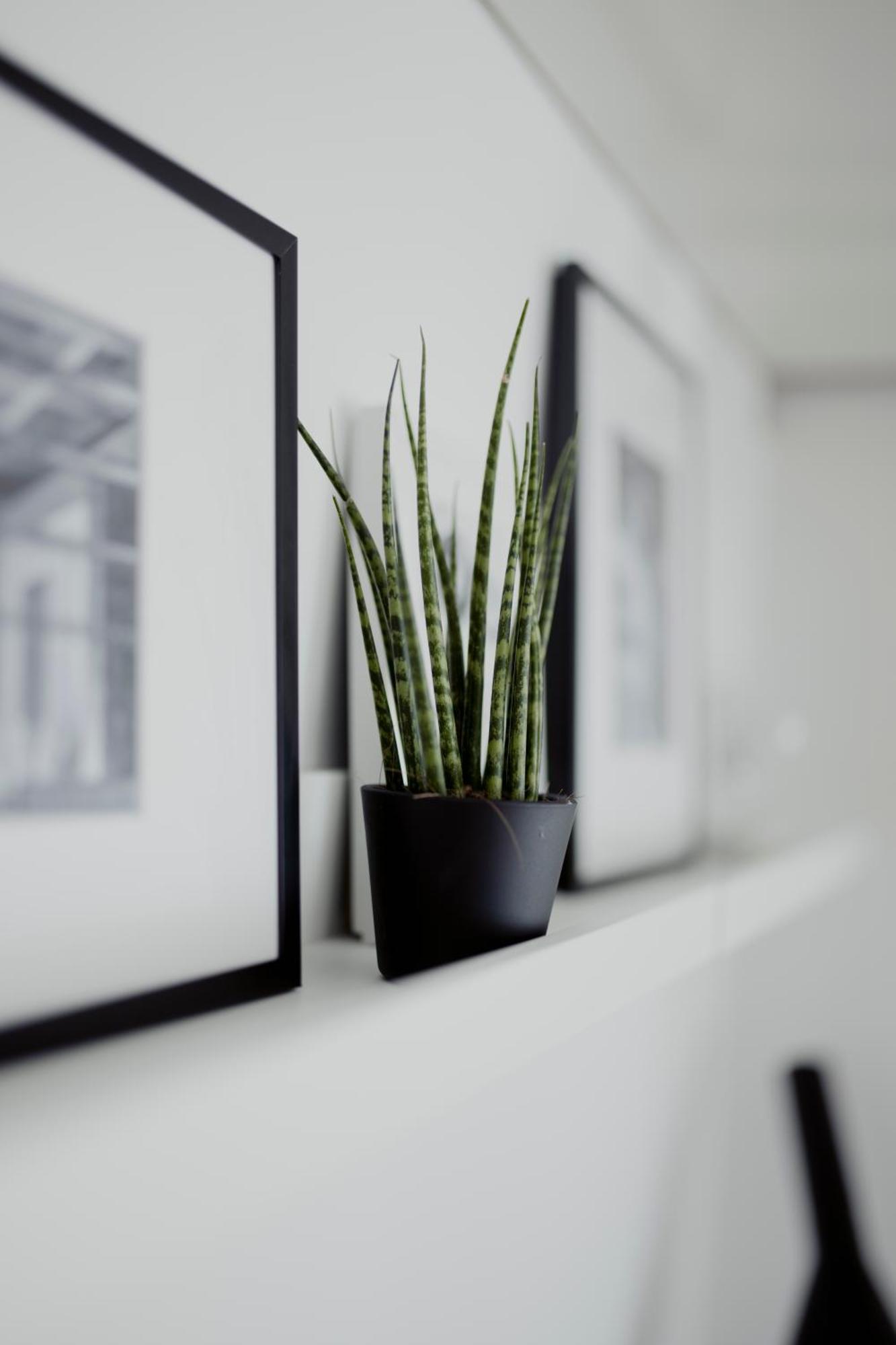 Apartment Photographer's House