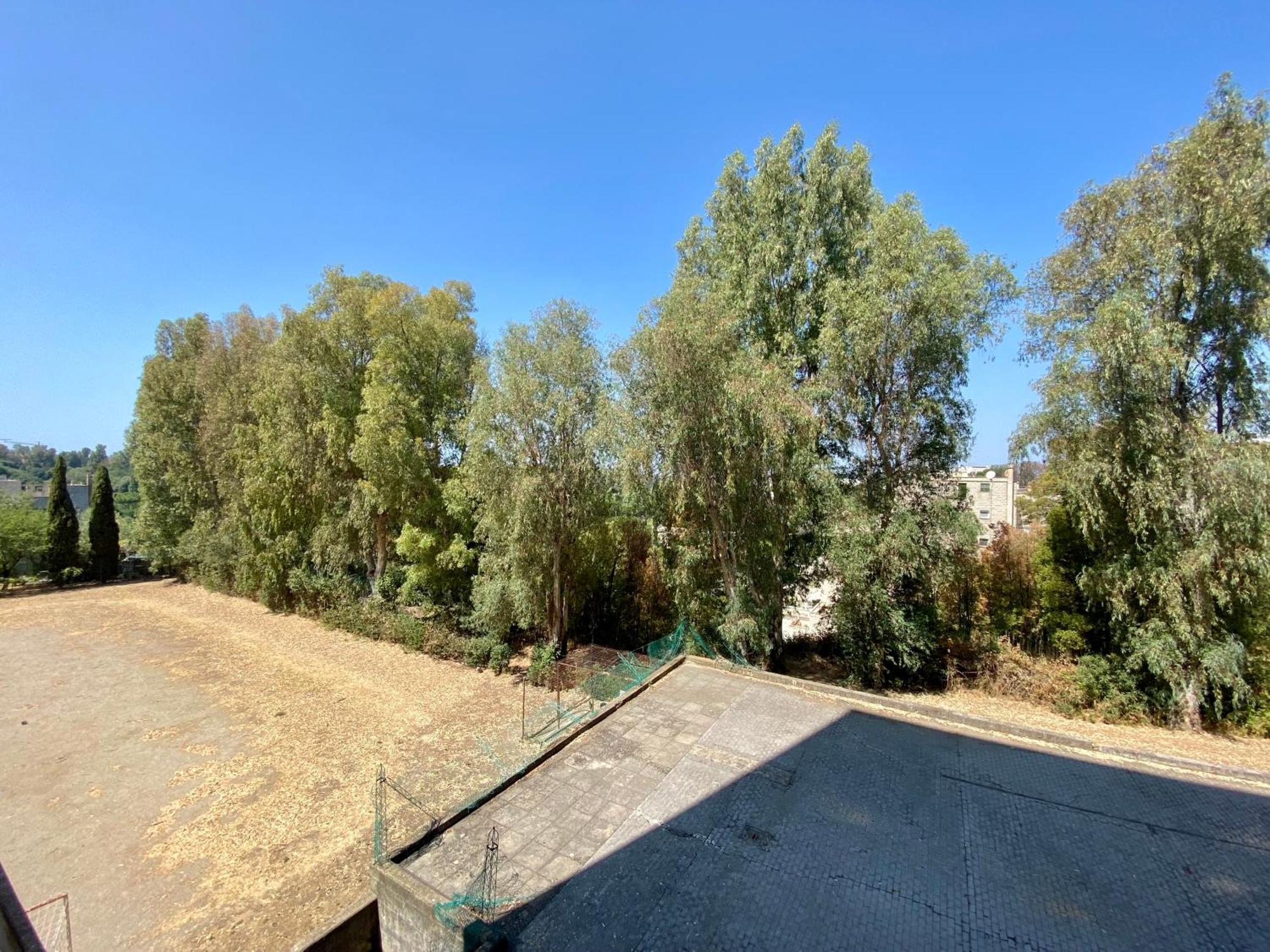 Grande Rifugio - Zona Eur Apartment Rome