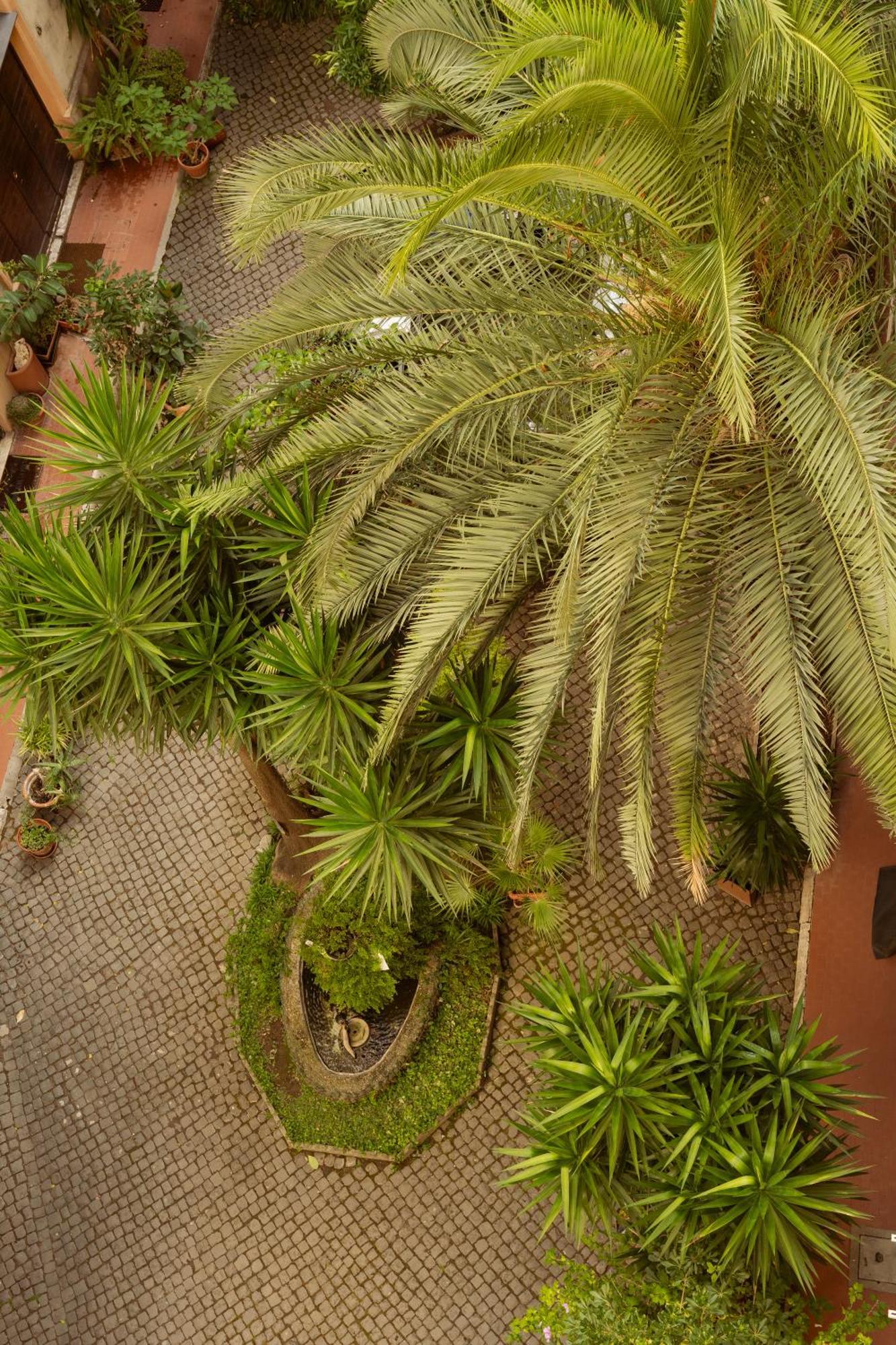 La Casa Di Amy Guest house