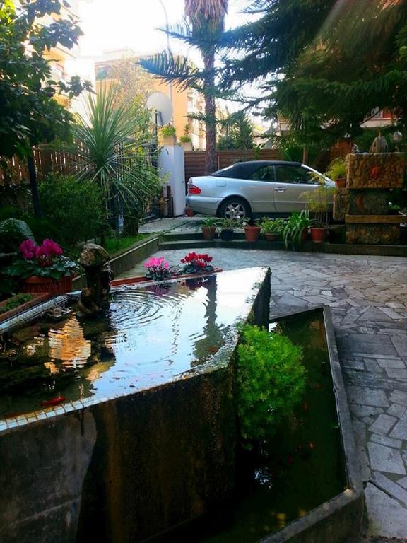 Guest house Il Limone Nascosto *